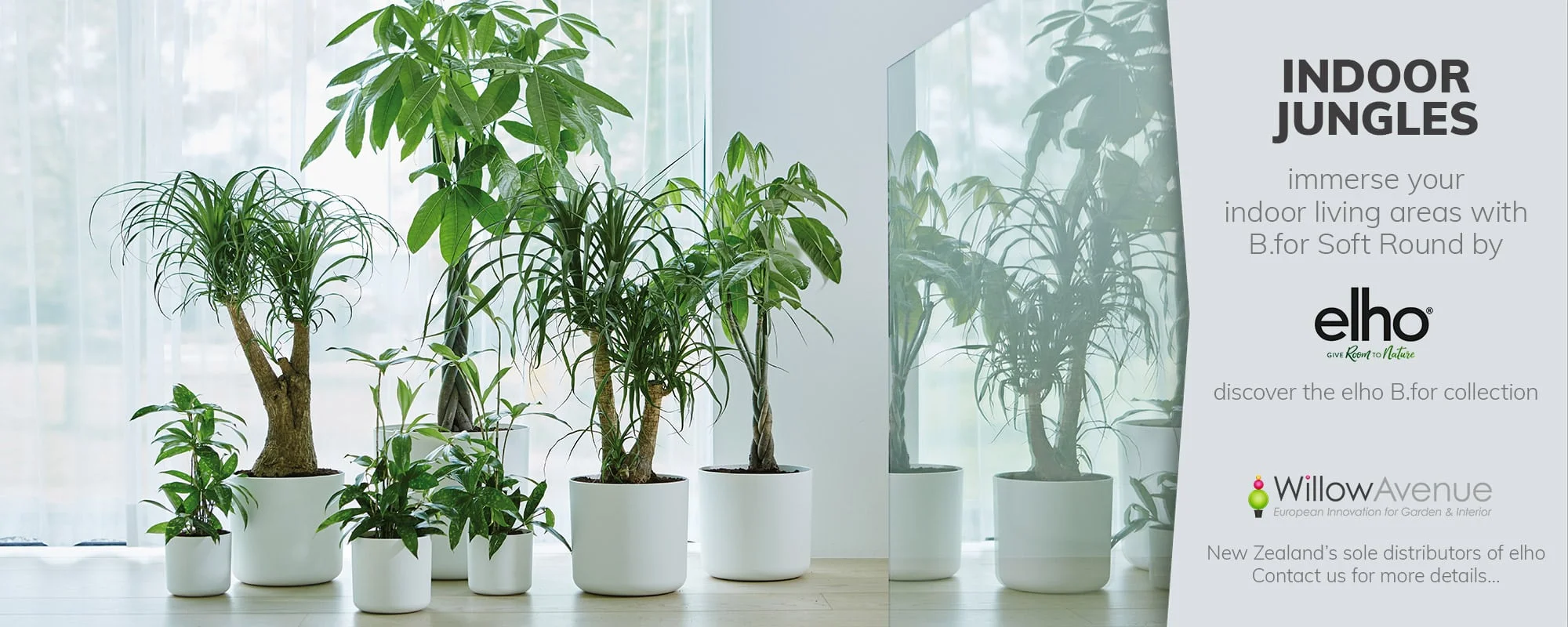 WA-indoor-jungle