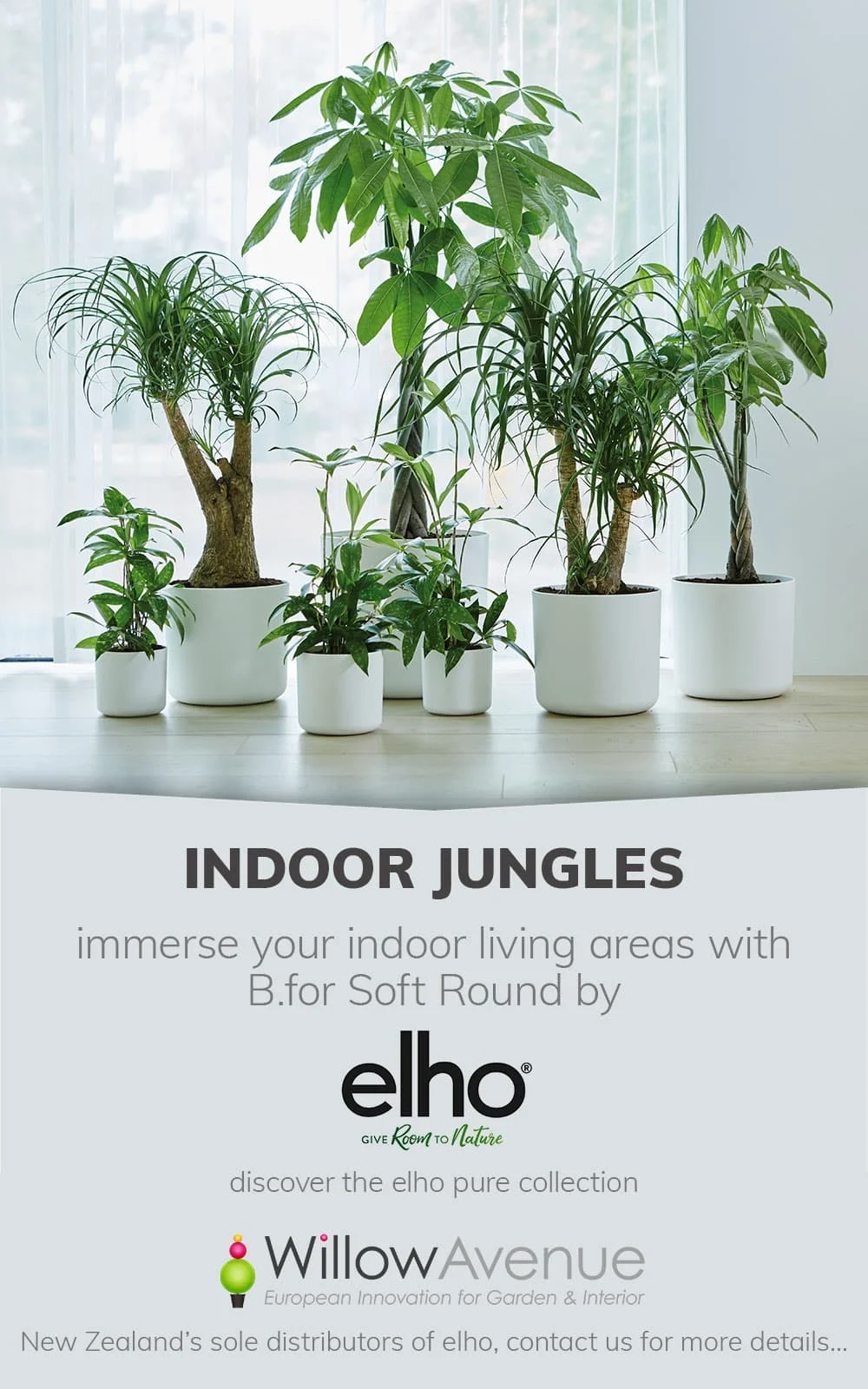 WA-indoor-jungle-mobile